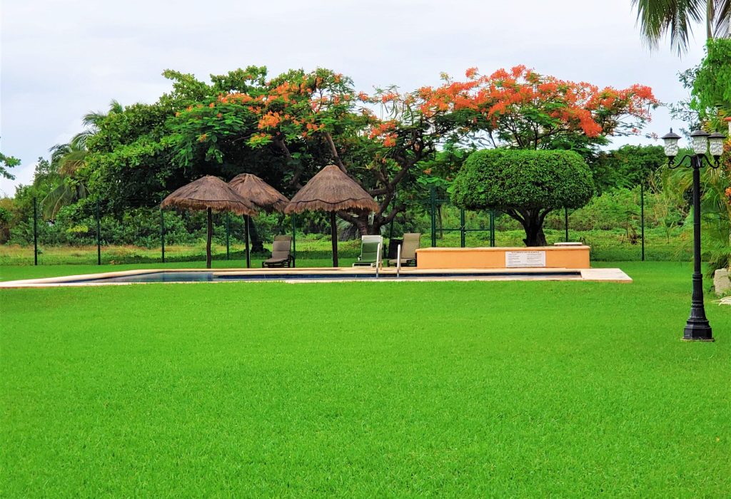 20230826_110000 - Editado