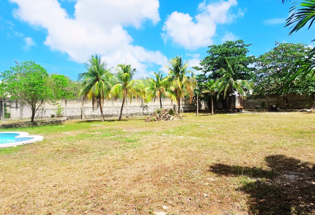 20250514_140350 - Editado (1)
